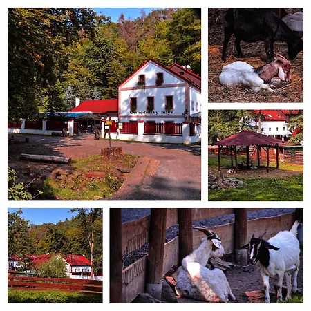 černodolský Mlýn 3* Chotimer