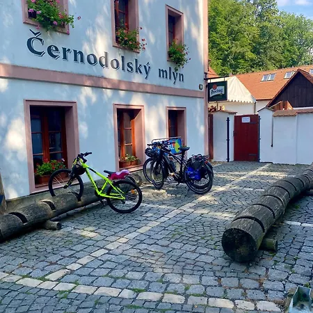 Maison d'hôtes Cernodolsky Mlyn 3*